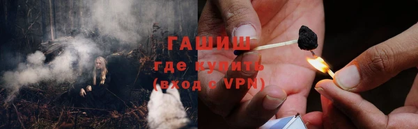 индика Беломорск